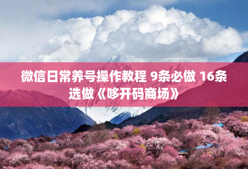 微信日常养号操作教程 9条必做 16条选做《哆开码商场》