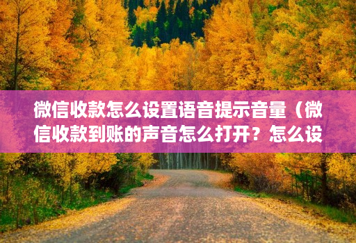 微信收款怎么设置语音提示音量（微信收款到账的声音怎么打开？怎么设置？）