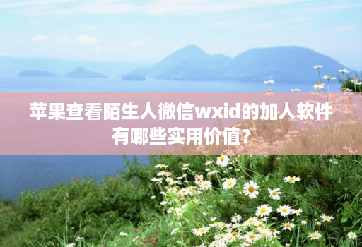 苹果查看陌生人微信wxid的加人软件有哪些实用价值？