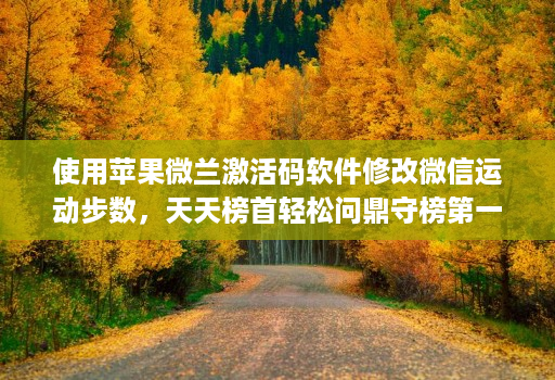 使用苹果微兰激活码软件修改微信运动步数，天天榜首轻松问鼎守榜第一！