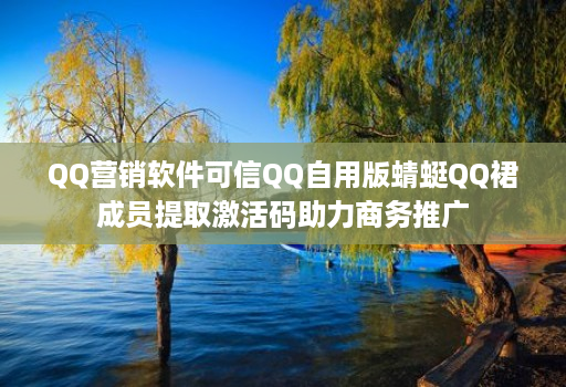 QQ营销软件可信QQ自用版蜻蜓QQ裙成员提取激活码助力商务推广