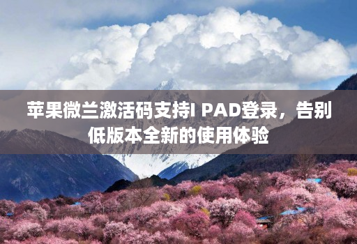 苹果微兰激活码支持I PAD登录，告别低版本全新的使用体验