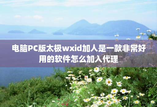 电脑PC版太极wxid加人是一款非常好用的软件怎么加入代理