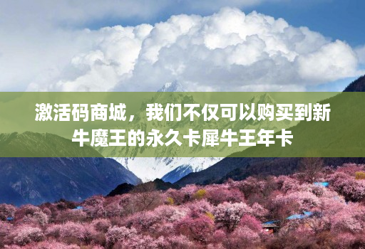 激活码商城，我们不仅可以购买到新牛魔王的永久卡犀牛王年卡