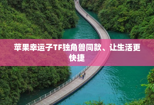 苹果幸运子TF独角兽同款、让生活更快捷