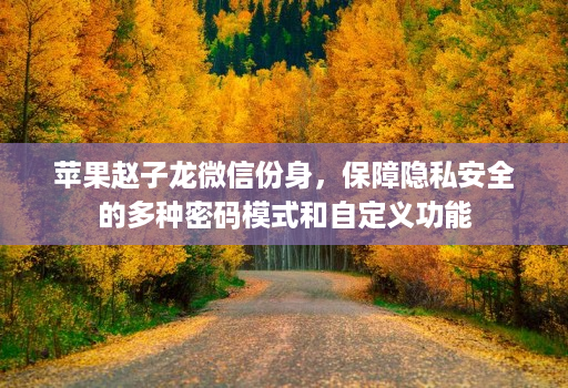 苹果赵子龙微信份身，保障隐私安全的多种密码模式和自定义功能