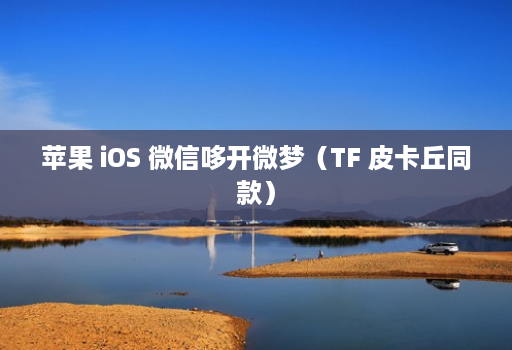 苹果 iOS 微信哆开微梦（TF 皮卡丘同款）