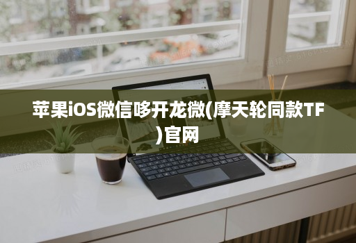 苹果iOS微信哆开龙微(摩天轮同款TF)官网