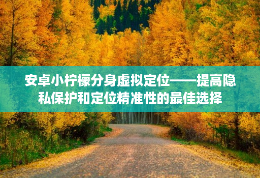 安卓小柠檬分身虚拟定位——提高隐私保护和定位精准性的最佳选择