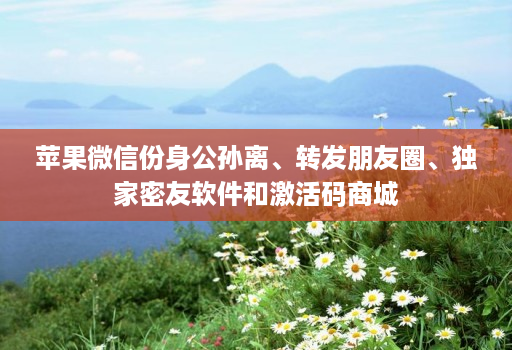 苹果微信份身公孙离、转发朋友圈、独家密友软件和激活码商城