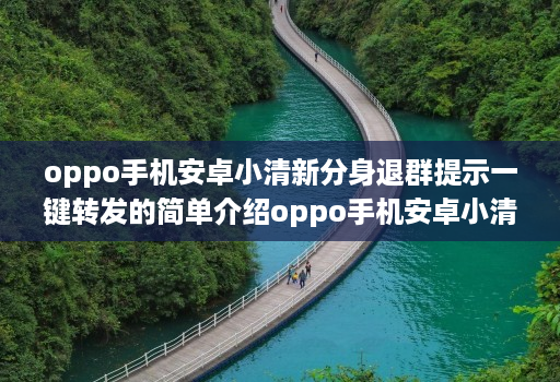 oppo手机安卓小清新分身退群提示一键转发的简单介绍oppo手机安卓小清新分身退群提示一键转发的简单介绍