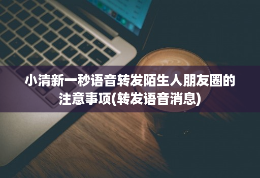 小清新一秒语音转发陌生人朋友圈的注意事项(转发语音消息)