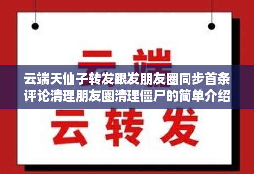 云端天仙子转发跟发朋友圈同步首条评论清理朋友圈清理僵尸的简单介绍