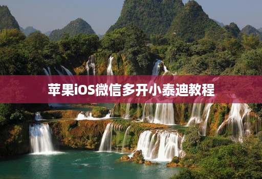 苹果iOS微信多开小泰迪教程