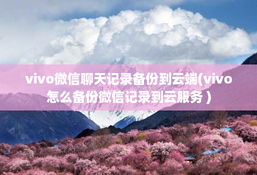 vivo微信聊天记录备份到<strong>云端</strong>(vivo怎么备份微信记录到云服务 )