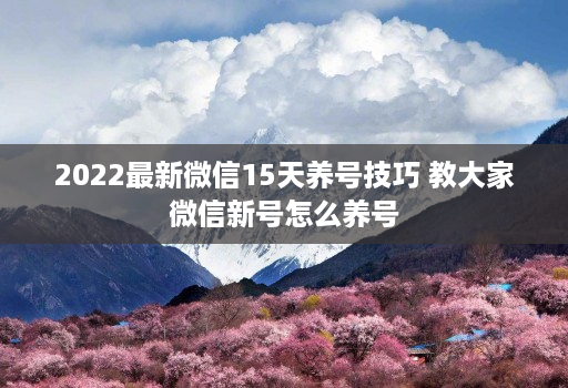 2022最新微信15天养号技巧 教大家微信新号怎么养号