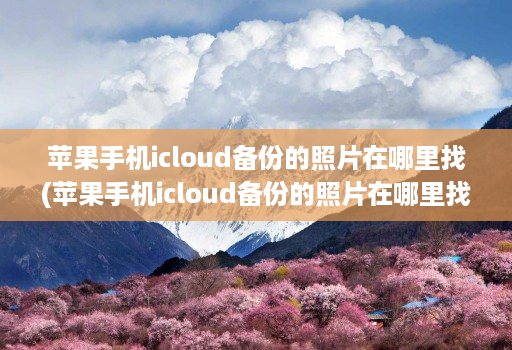 苹果手机icloud备份的照片在哪里找(苹果手机icloud备份的照片在哪里找回 )