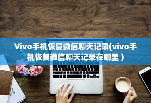 Vivo手机恢复微信聊天记录(vivo手机恢复微信聊天记录在哪里 )