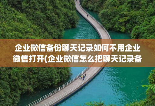 企业微信备份聊天记录如何不用企业微信打开(企业微信怎么把聊天记录备份 )