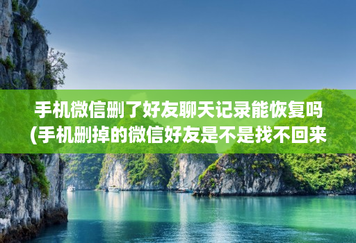 手机微信删了好友聊天记录能恢复吗(手机删掉的微信好友是不是找不回来了 )