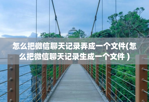 怎么把微信聊天记录弄成一个文件(怎么把微信聊天记录生成一个文件 )