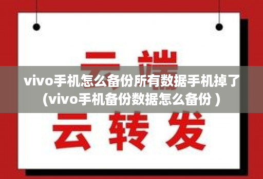 vivo手机怎么备份所有数据手机掉了(vivo手机备份数据怎么备份 )