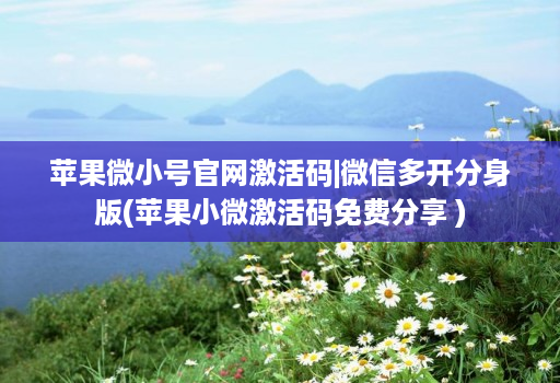 苹果微小号官网激活码|维信哆开分身版(苹果小微激活码免费分享 )