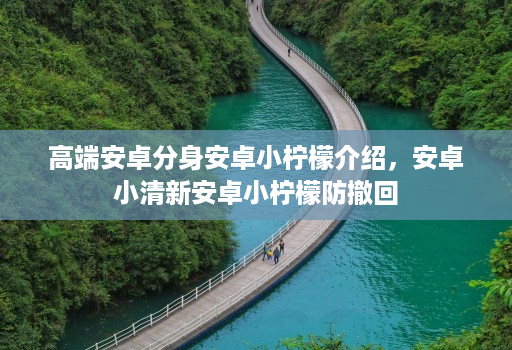 高端安卓分身安卓小柠檬介绍，安卓小清新安卓小柠檬防撤回