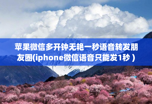 苹果维信哆开钟无艳一秒语音转发朋友圈(iphone微信语音只能发1秒 )