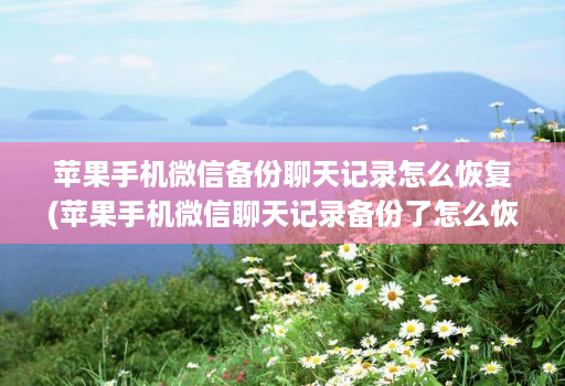 苹果手机微信备份聊天记录怎么恢复(苹果手机微信聊天记录备份了怎么恢复 )