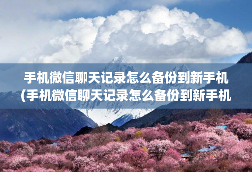 手机微信聊天记录怎么备份到新手机(手机微信聊天记录怎么备份到新手机上 )