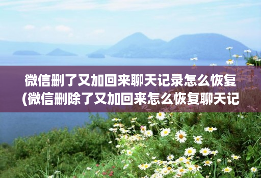 微信删了又加回来聊天记录怎么恢复(微信删除了又加回来怎么恢复聊天记录 )