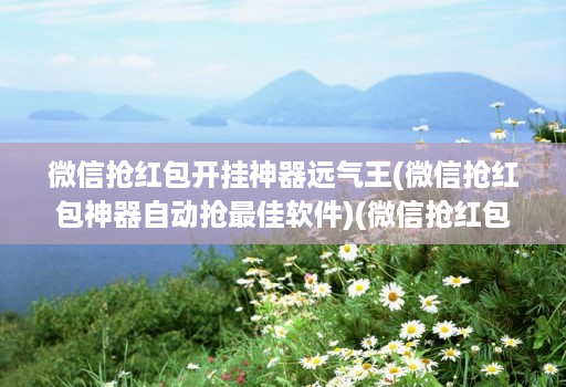 微信抢荭包开挂神器远气王(微信抢荭包神器自动抢最佳软件)(微信抢荭包神器2020版 )