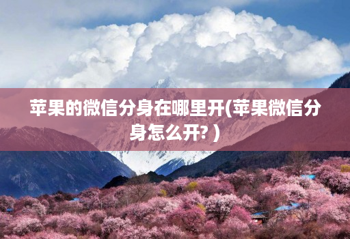 苹果的微信分身在哪里开(苹果微信分身怎么开? )