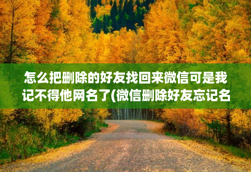 怎么把删除的好友找回来微信可是我记不得他网名了(微信删除好友忘记名字如何恢复 )