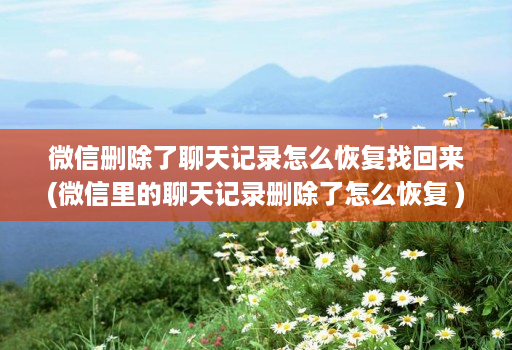 微信删除了聊天记录怎么恢复找回来(微信里的聊天记录删除了怎么恢复 )