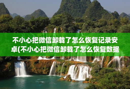 不小心把微信卸载了怎么恢复记录安卓(不小心把微信卸载了怎么恢复数据 )