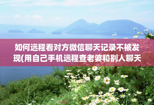 如何远程看对方微信聊天记录不被发现(用自己手机远程查老婆和别人聊天 )