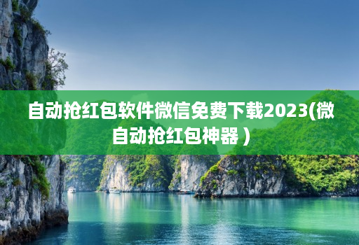 自动抢荭包软件微信免费下载2023(微自动抢荭包神器 )