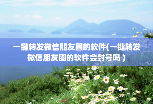 一键转发微信朋友圈的软件(一键转发微信朋友圈的软件会不会吗 )