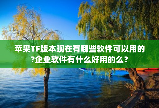 苹果TF版本现在有哪些软件可以用的?企业软件有什么好用的么？