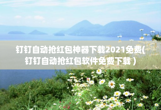 钉钉自动抢荭包神器下载2021免费(钉钉自动抢荭包软件免费下载 )