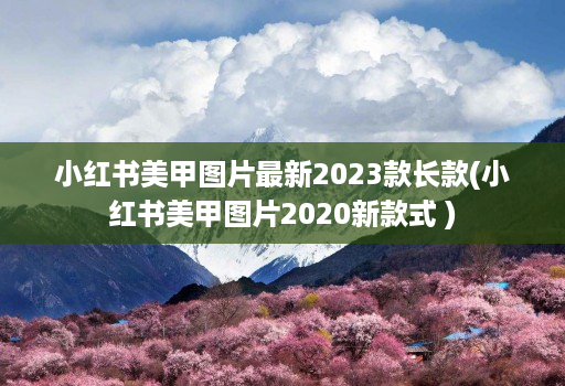 小红书美甲图片最新2023款长款(小红书美甲图片2020新款式 )