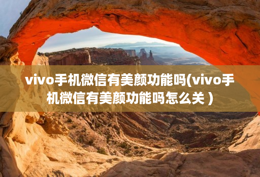 vivo手机微信有美颜功能吗(vivo手机微信有美颜功能吗怎么关 )