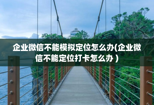 企业微信不能模拟定位怎么办(企业微信不能定位打卡怎么办 )