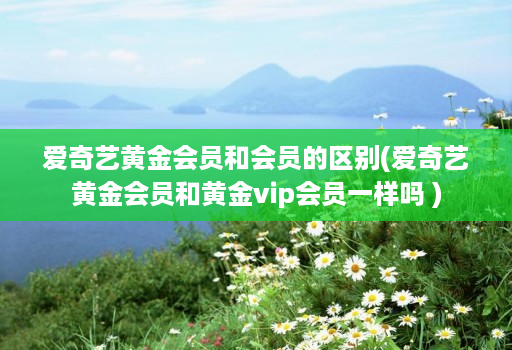 爱奇艺黄金会员和会员的区别(爱奇艺黄金会员和黄金vip会员一样吗 )