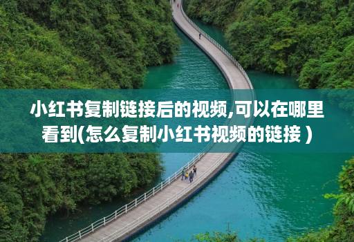 小红书复制链接后的视频,可以在哪里看到(怎么复制小红书视频的链接 )