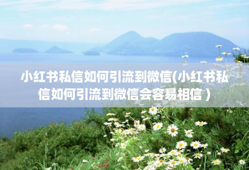 小红书私信如何引流到微信(小红书私信如何引流到微信会容易相信 )