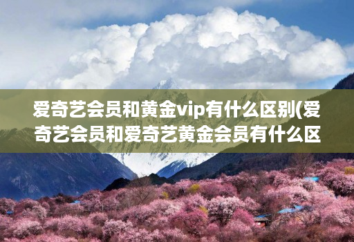 爱奇艺会员和黄金vip有什么区别(爱奇艺会员和爱奇艺黄金会员有什么区别 )