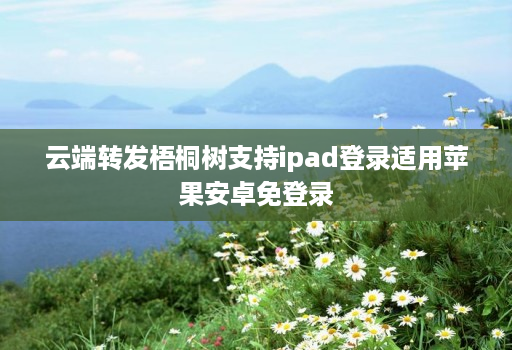 云端转发梧桐树支持ipad登录适用苹果安卓免登录